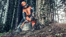 Современные требования к профессии вальщика леса