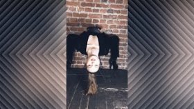 Пантера гимнастка LuxOr