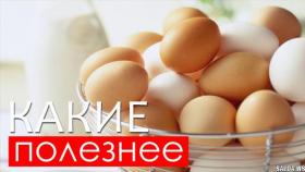 Чем отличаются коричневые яйца от белых и какие полезнее?