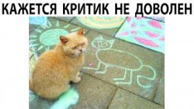 Короткие приколы и мемы с котами на 7 мая 2022