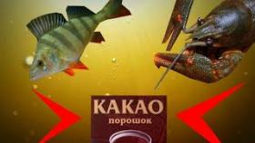 Реакция рыбы на КАКАО! Подводное видео