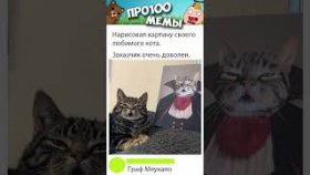 Короткие приколы и мемы про котов с озвучкой на 24 декабря.
