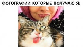 Короткие мемы с котами на 3 апреля