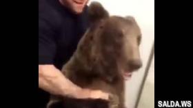 Монсон играет с живым медведем
