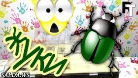 Много жуков Коллекция насекомых Видео для детей A lot of bugs Collection of insects Videos for kids