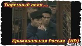 Криминальная Россия - Тюремный волк (HD)