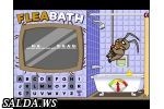 Flea Bath