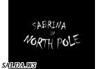 Sabrina In North Pole (1 экран)