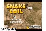Играть в Snake Coil
