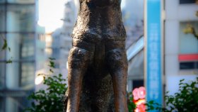 21 апреля 1934 г. Воздвигнут памятник собаке Хатико в Японии.