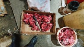 В Нижнем Тагиле любителя незаконной охоты вычислили по дорогой иномарке