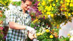 Чего хотят мужчины: идеальный подарок садоводу на 23 февраля