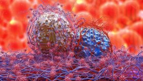 Холод замедляет рост раковых клеток
