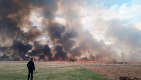 В Нижней Салде сгорело 4 гектара сухой травы