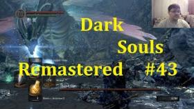 Dark Souls Remastered Прохождение - Гуляем по архивам #43