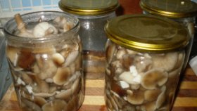 Ботулизма в маринованных грибах: опасность отравления и профилактические меры