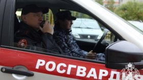 Сотрудники Росгвардии в Тюменской области задержали подозреваемого в краже детской коляски