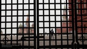 Самонкин: России следует ужесточить ответственность за призывы к массовым акциям