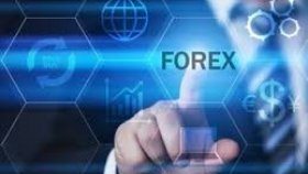Форекс брокер Financial Management Group