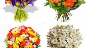 Недорогая доставка цветов – доверьтесь профессионалам!