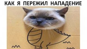 Мемы и коротенькие приколы с котами на 3 июля 2022