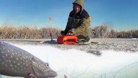 Зимняя рыбалка 2022-2023! Ловля Щуки на Жерлицы с Подводными камерами! Подледная съемка