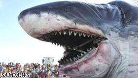 Самая большая акула в мире Мегалодон