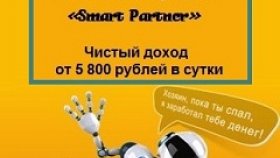 «Smart Partner» - Скрипт автозаработка и система продаж.