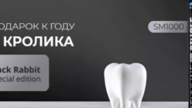 Щетки для зубов SM6000 и SM1000 из ограниченной серии &quot;Черный кролик&quot; от Revyline на &quot;Ирригатор.ру&quot; в Екатеринбурге