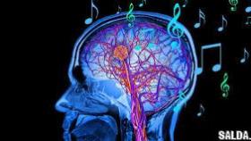 Как мозг выбирает музыку?