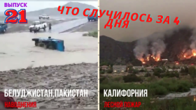 Катаклизмы и события в Мире. Лесной пожар Калифорния. [Выпуск 21].