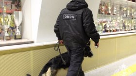 Росгвардейцы в Тюмени обеспечили охрану общественного порядка нескольких всероссийских спортивных мероприятий