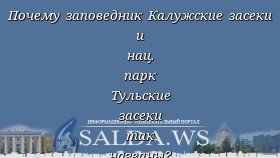 Почему заповедник Калужские засеки и нац. парк Тульские засеки так названы?
