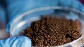 Анализ почвы от Испытательного центра МГУ