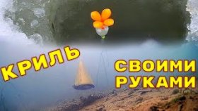 Это Невероятно! Добавил КРЕВЕТОК в Прикормку! Зимняя рыбалка на поплавок! Подводная съемка