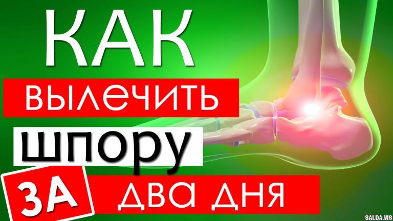 Открыть в полный размер