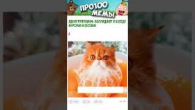 Короткие приколы и мемы на 31 декабря.
