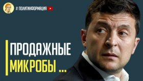 Срочно! Относительно Зеленского мы все микробы, - депутат от &quot;СН&quot; Качура