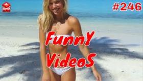 Подборка лучших видео приколов YOUTUBE #246