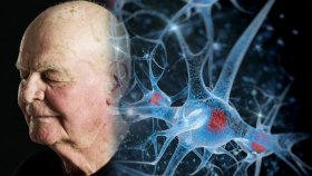 Стресс может ускорить процесс старения иммунной системы
