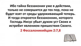 Патрульный или Егерь - 217
