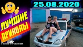 Ёжик в Тумане ПРИКОЛЫ из Инстаграма 2020 / COUB BEST 2020 / КУБ/ CUBE / КОУБ АВГУСТ 2020