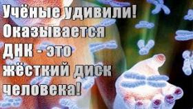 Учёные удивили! Оказывается ДНК это жёсткий диск!