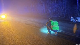 Свердловские автоинспекторы устанавливают обстоятельства смертельного ДТП с пешеходом