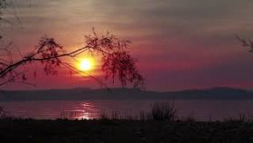 Relaxing Deep Sleep Music &amp; Stunning Nature, Meditation Music, Stress, Healing Therapy Music