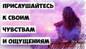 Ваши чувства подскажут дорогу