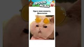Мемы и Приколы с Котами. Когда мама очень любит деньги.
