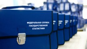 Перепись населения перенесут на следующий год