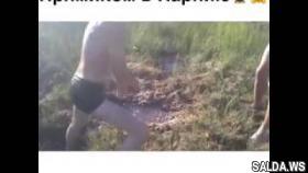 Прямиком в Нарнию