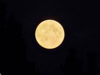 Ночь в лесу  21 Августа 2013г